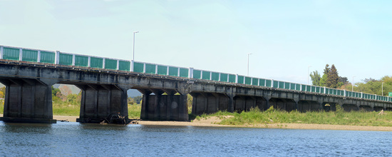 Bridge in Opotiki