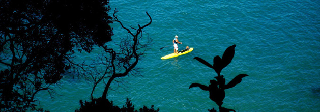 Person paddleboarding