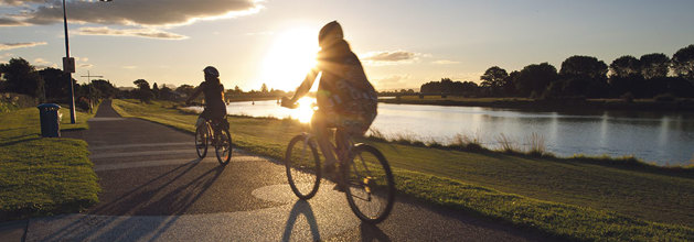 Cyclists during sunset, eastern Bay of Plenty