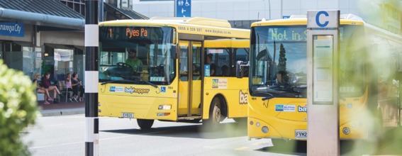 Bayhopper buses