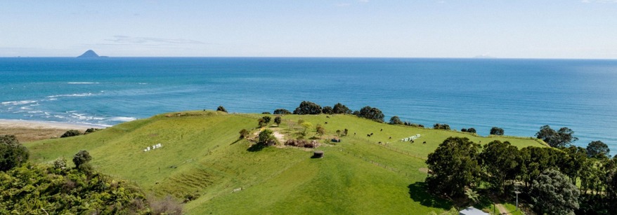 Beautiful landscape in the Bay of Plenty