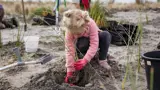 Person planting at Waihi Beach