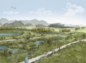 Wetland restoration Koperererua 