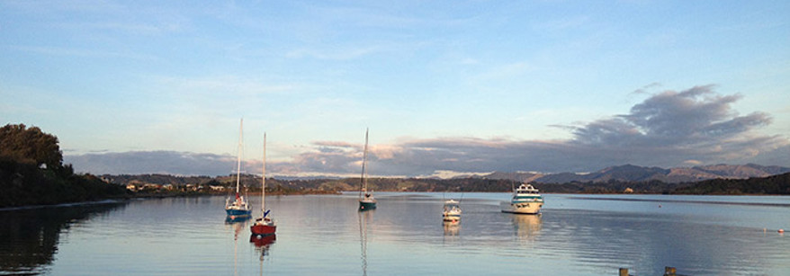 Ohiwa Harbour