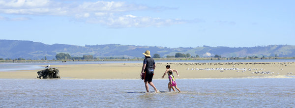 Bay of Plenty beach