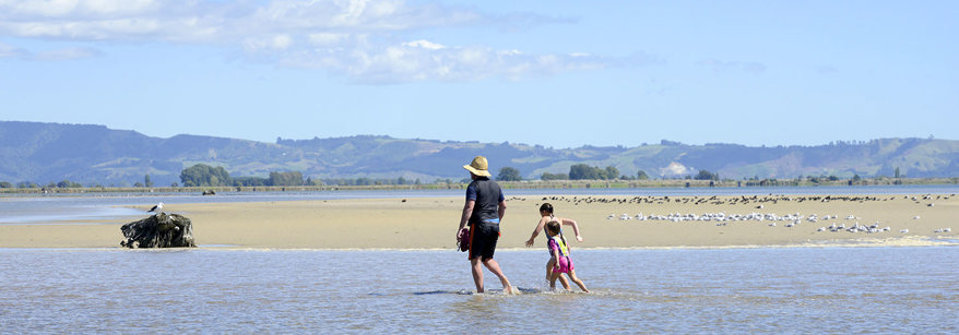 Beach in Bay of Plenty