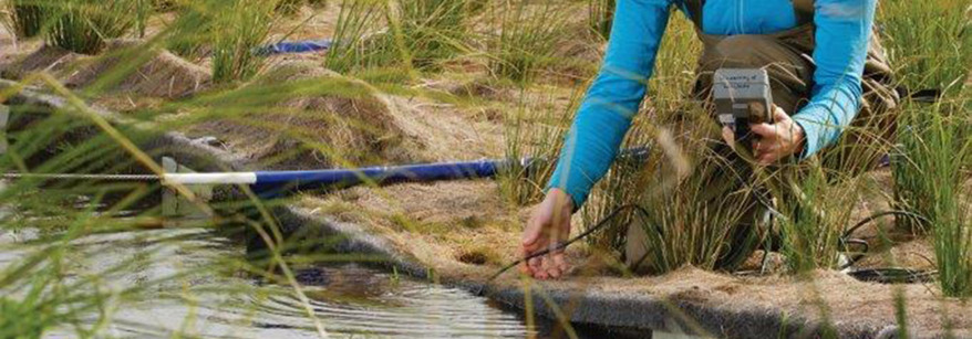 Monitoring wetlands