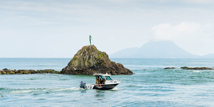 whakatane harbour