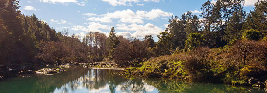 Rangitāiki River