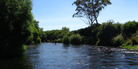 Tarawera River 