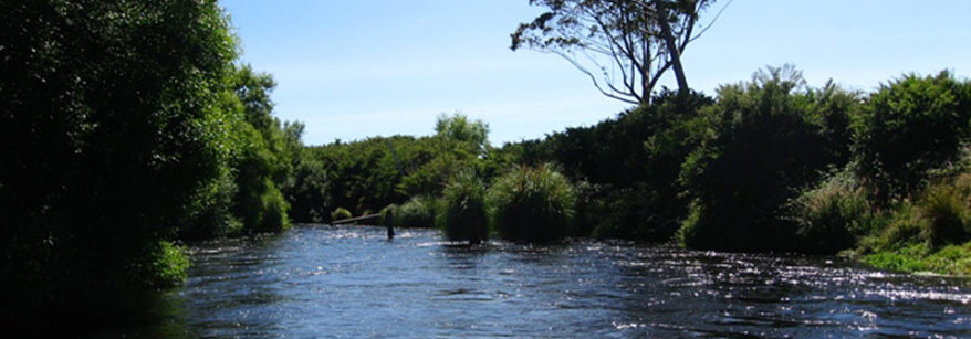 Tarawera River 