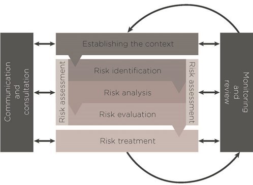 Risk management process
