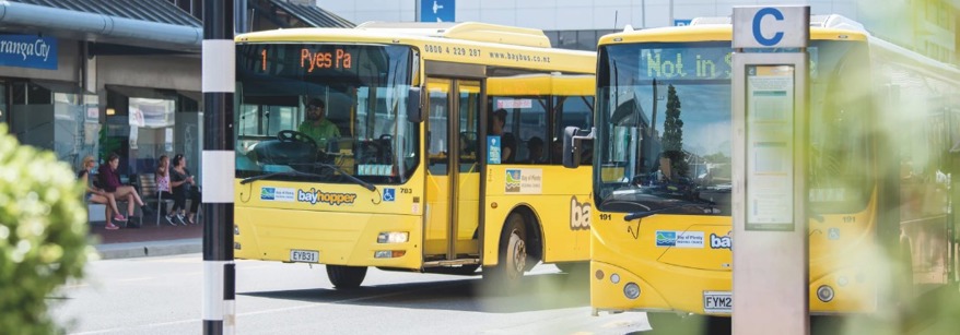 Bayhopper buses