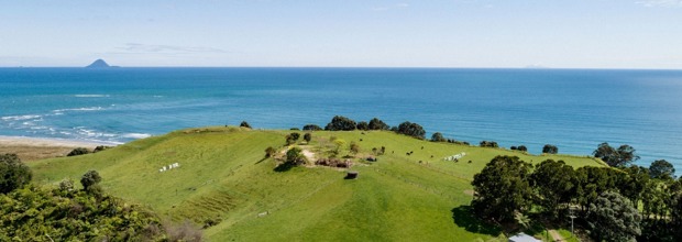 Beautiful landscape in the Bay of Plenty