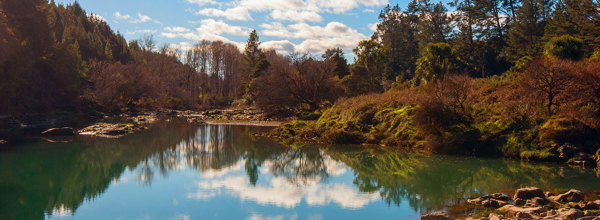 Rangitāiki River