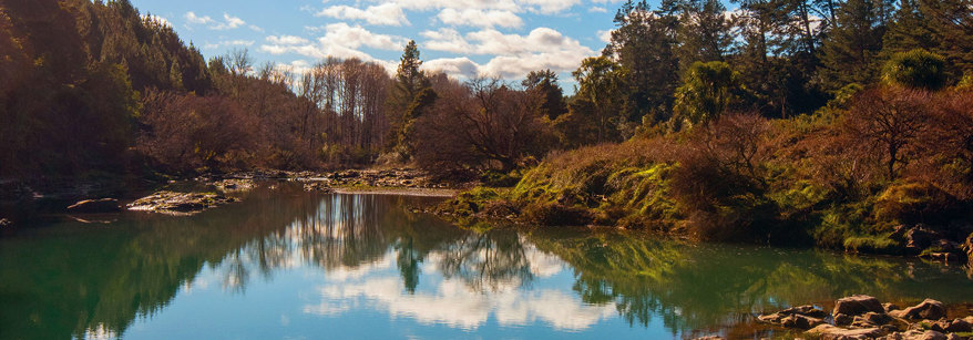 Rangitāiki River