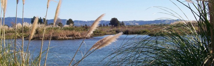 Kaituna River