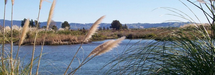 Kaituna River