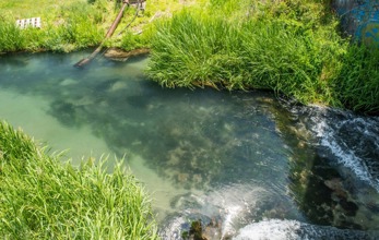 Pongakawa Waitahanui River