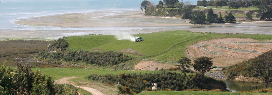 Bay of Plenty 
