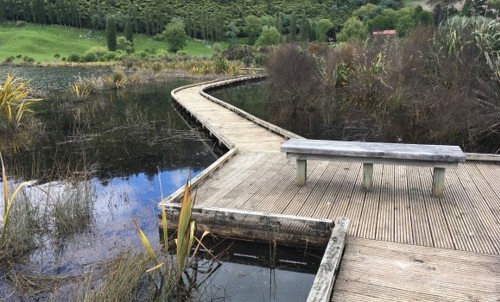 Walkway at Acacia Bay Reerve