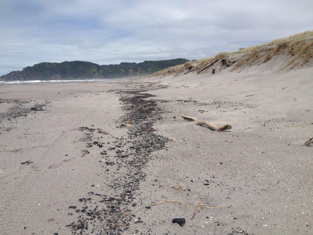 line of charcoal at hightide line