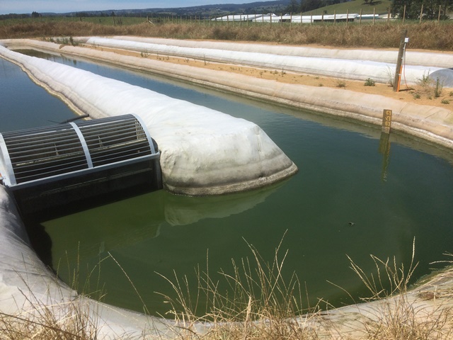 High Rate Algal Pond With Paddle Wheel For Circulation Of Diluted Effluent Small
