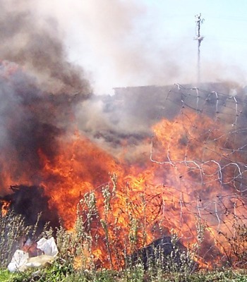 Do it online Pollution Hotline Complete our online form, or phone the Pollution Hotline 24/7 on 0800 884 883.