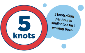 5 knots