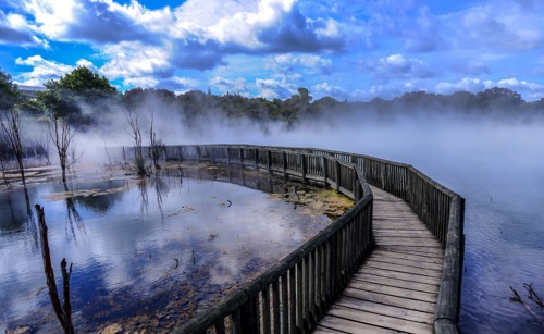 Rotorua thermal springs