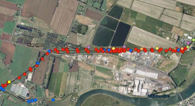 ARCGis map Kopeopeo samples