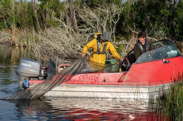 Netting catfish in the BOP.
