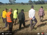Te Pourepo o Kaituna wetland project