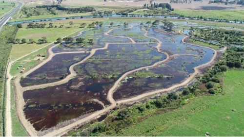 AFTER - Te Pourepo Stage 1 area - Te Tumu Kawa block after earthworks completed (March 2020).