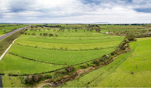 BEFORE - Te Pourepo Stage 1 area - Te Tumu Kawa block prior to wetland restoration work (October 2019).