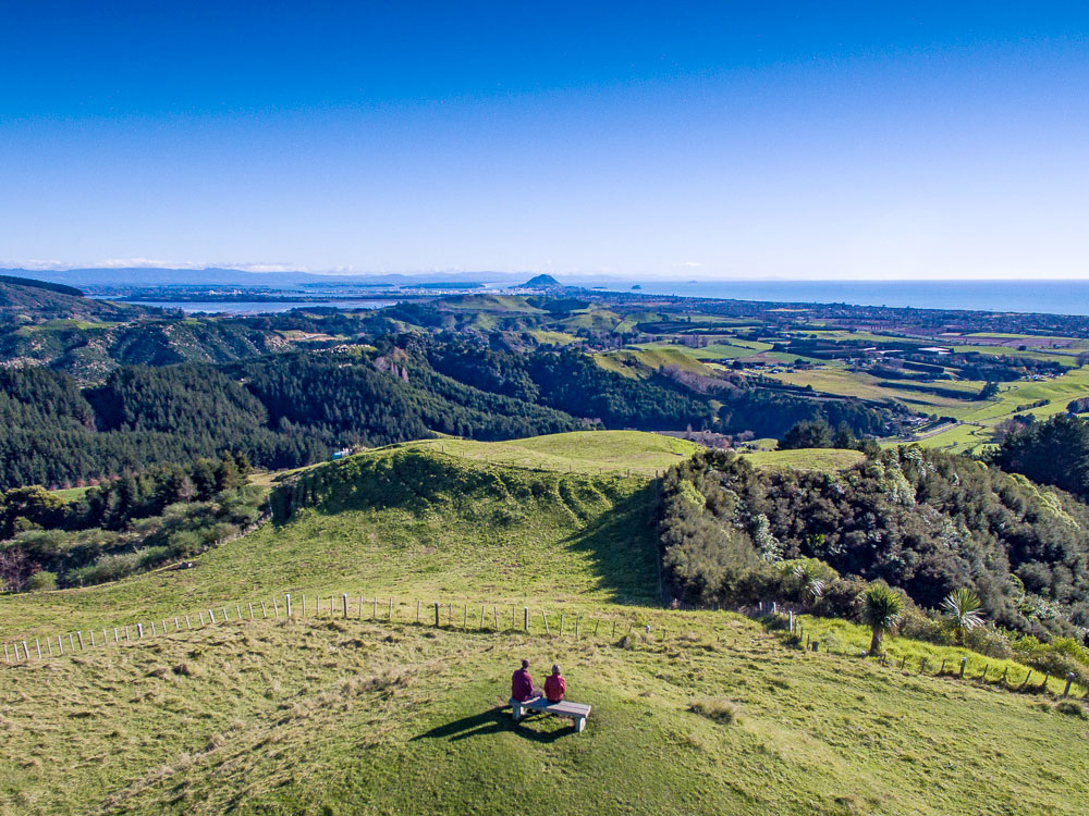 papamoa hills