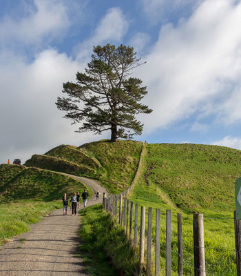Regional parks Pāpāmoa Hills Cultural Heritage Regional Park Located in the Western Bay of Plenty, near Te Puke, Pāpāmoa Hills Cultural Heritage Regional Par...