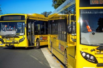 Bayhopper bus