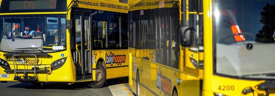Bayhopper bus