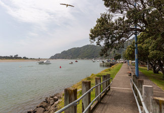 whakatane waterfront