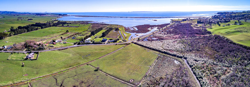 Waitepuia Catchment
