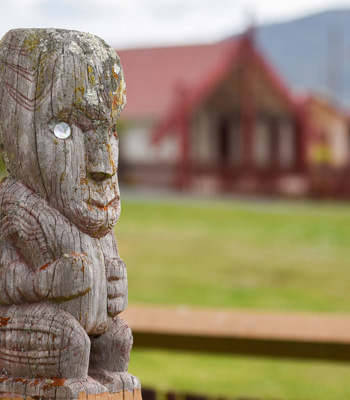 Iwi and Hapū Resource Management Plan Online Application Form