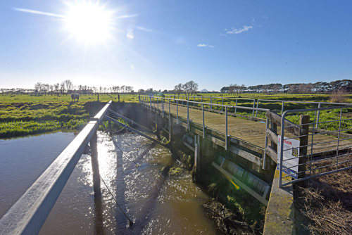 rangitaiki drain