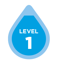 level 1