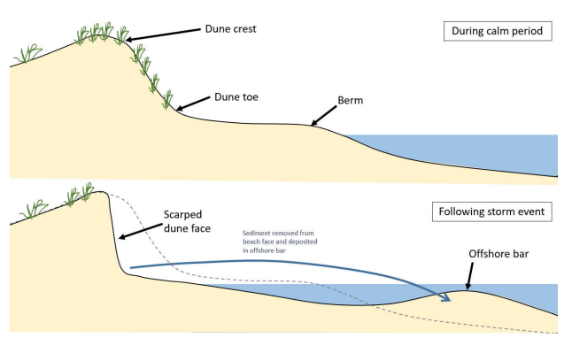 coastal processes