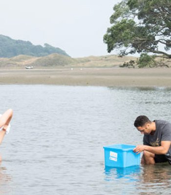 He Toka Tū Moana – Toi Moana Environmental Scholarship Applications are currently open for He Toka Tu Moana scholarships, which are designed for students who...