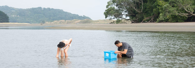 two people in estuary gathering seafood