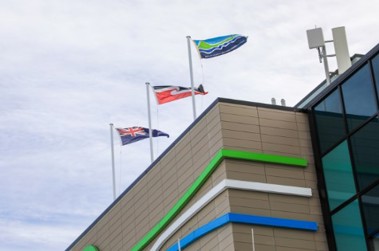 tauranga office flags