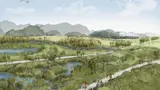 Wetland restoration Koperererua 