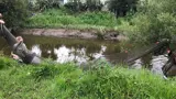 fish sampling in Kopurererua